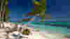 Shutterstock Rf 291961145