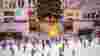 Shutterstock Rf 524126509