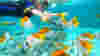 SouthPacific_CookIslands_Rarotonga_Snorkling