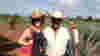 Tequila_Darley