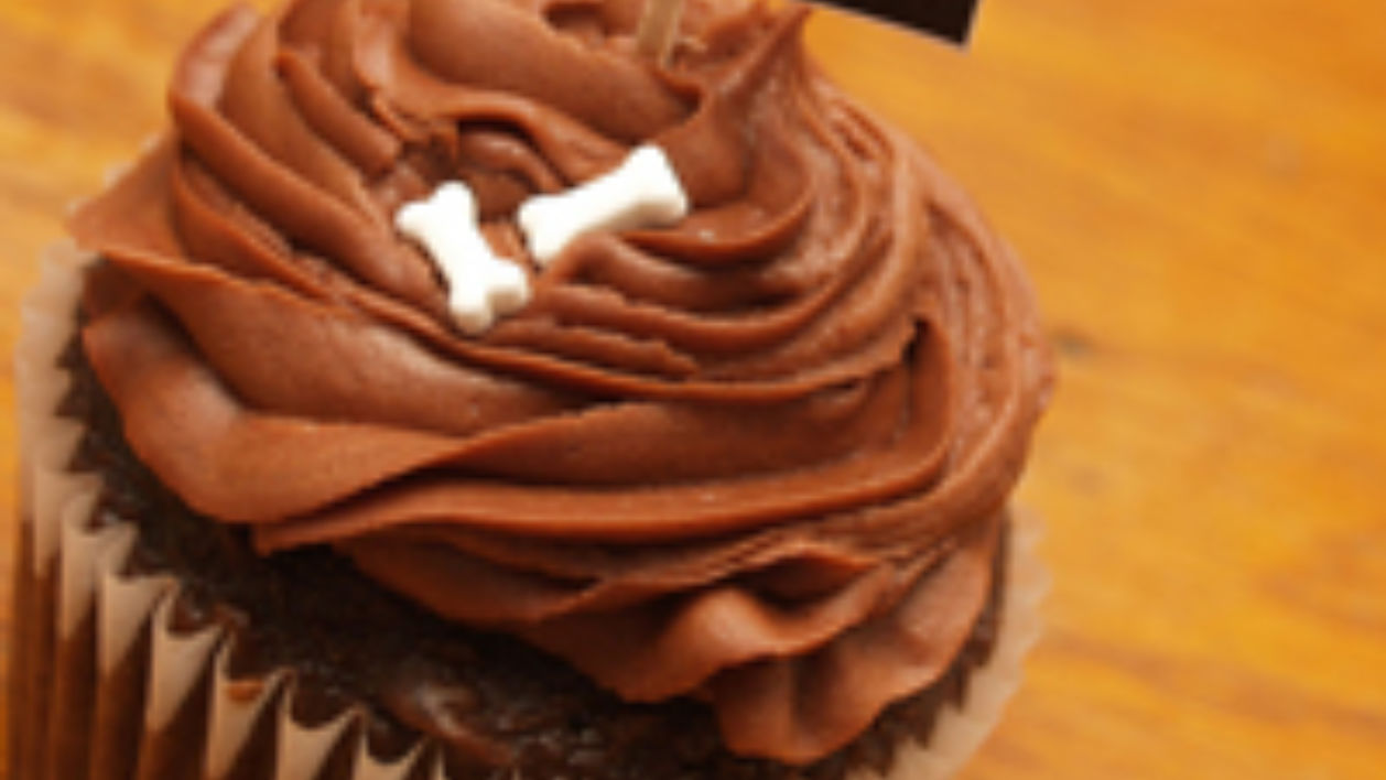 Busted for Bringing Cupcakes and Bagels Through TSA… Budget Travel