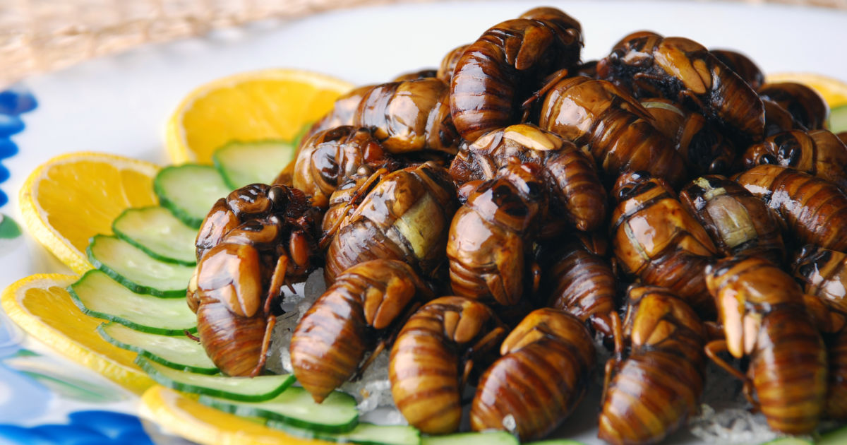 15 Insects You Won't Believe Are Edible Budget Travel