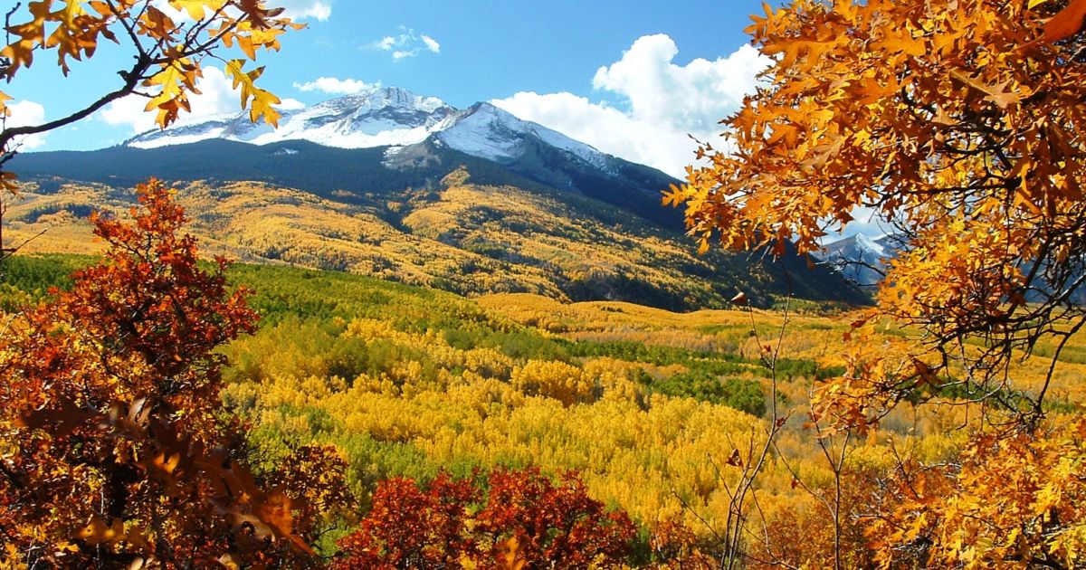 Download 12 Best Fall Foliage Trips | Budget Travel