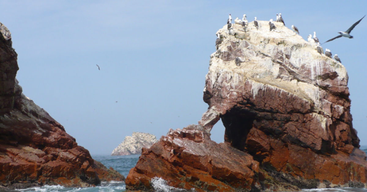 Best Time To Visit Ballestas Islands Best Time To Visit Ballestas Islands
