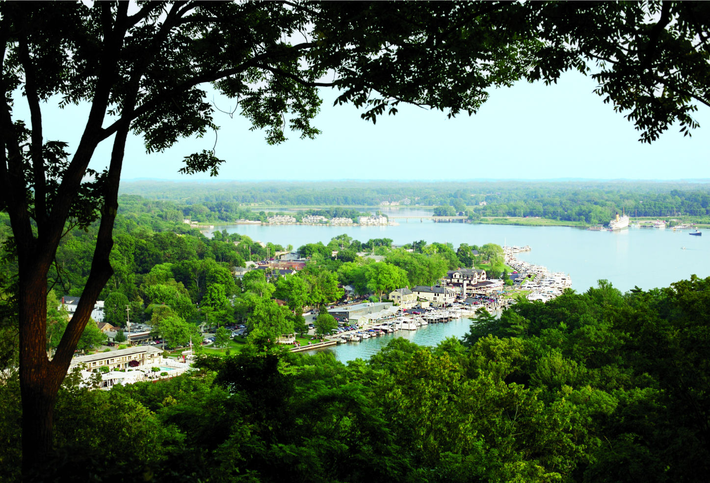 Saugatuck, MI