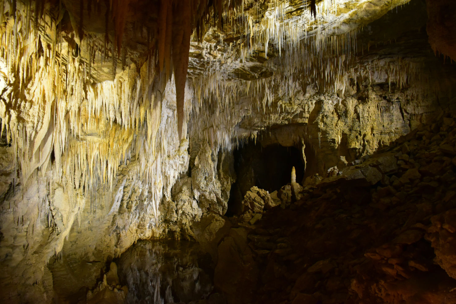 Aranui Caves, New Zealand.