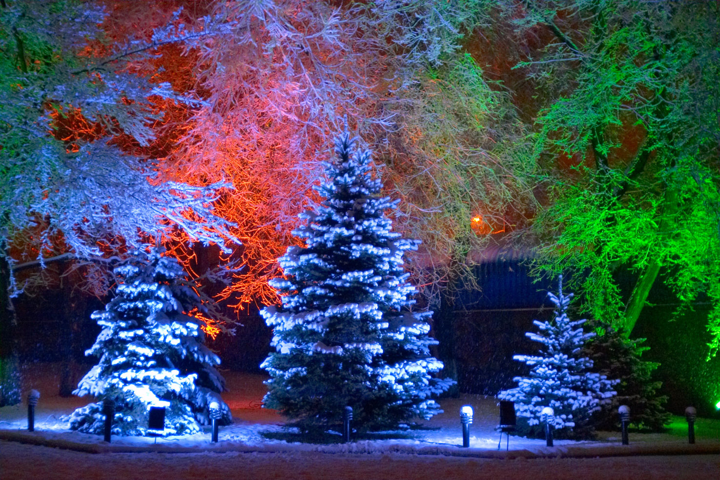 generic winter scenery