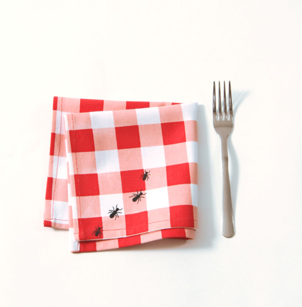 Picnic napkins