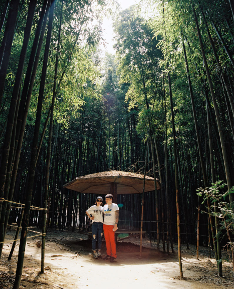 Bamboo Forest, Damyang, South Korea