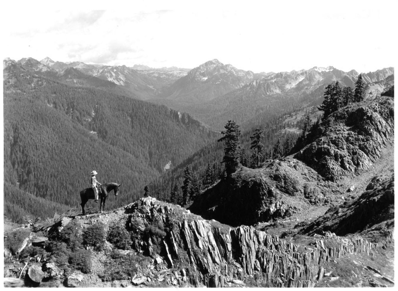 horseback, Seattle Creek, Mount Muncaster, High Divide, Olympic National Park, Washington