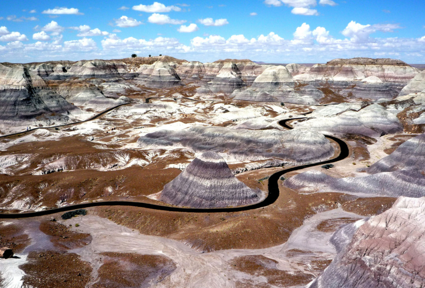Petrifed Forest National Park