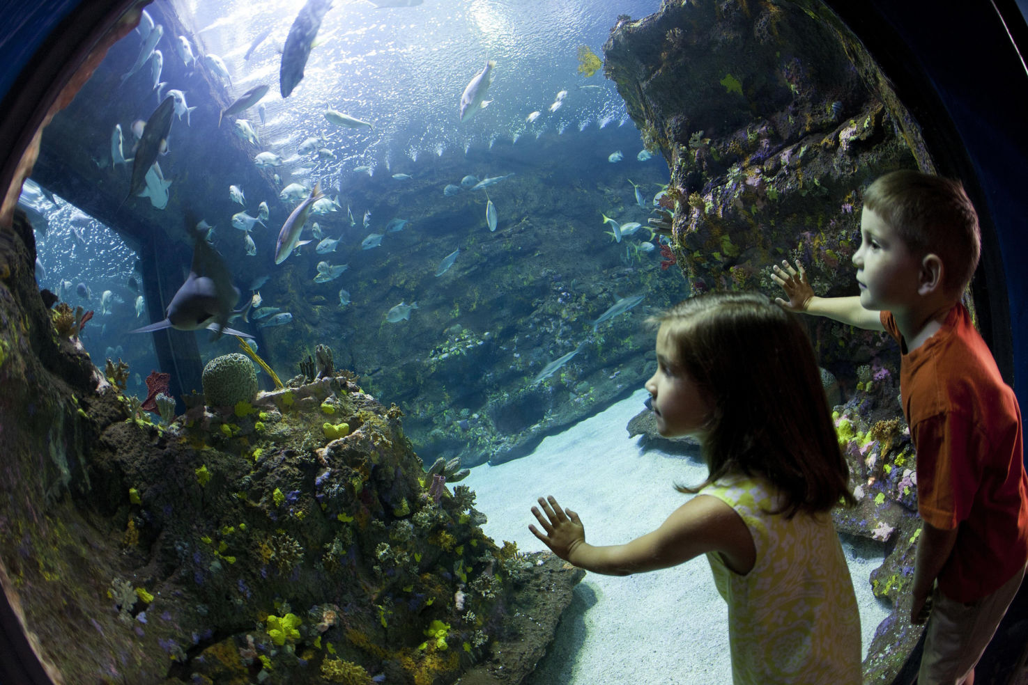 North Carolina Aquarium, Fort Fisher, Kure Beach, North Carolina