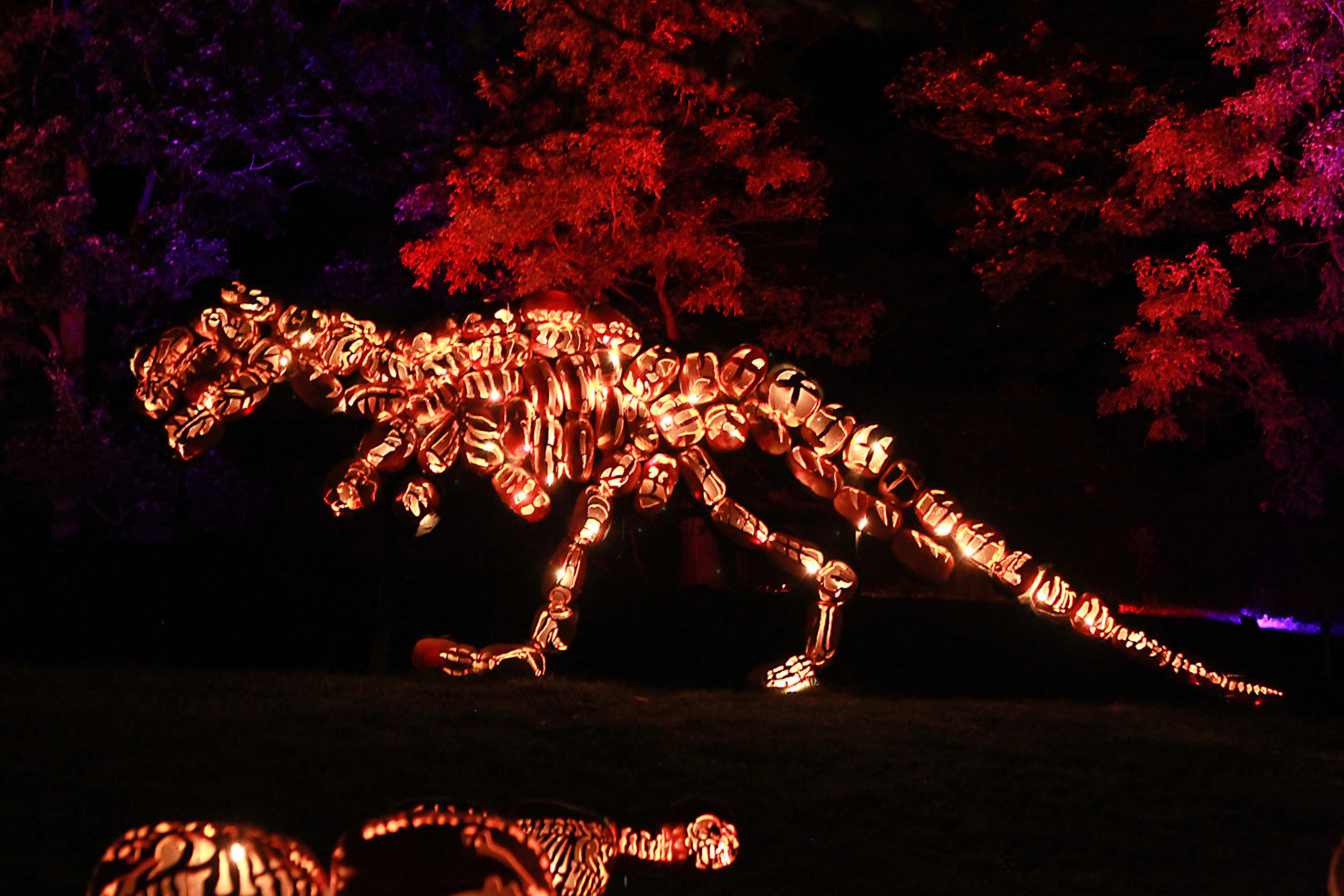 T-Rex, Jurassic Park, The Great Jack O'Lantern Blaze, Hudson Valley, New York, Halloween