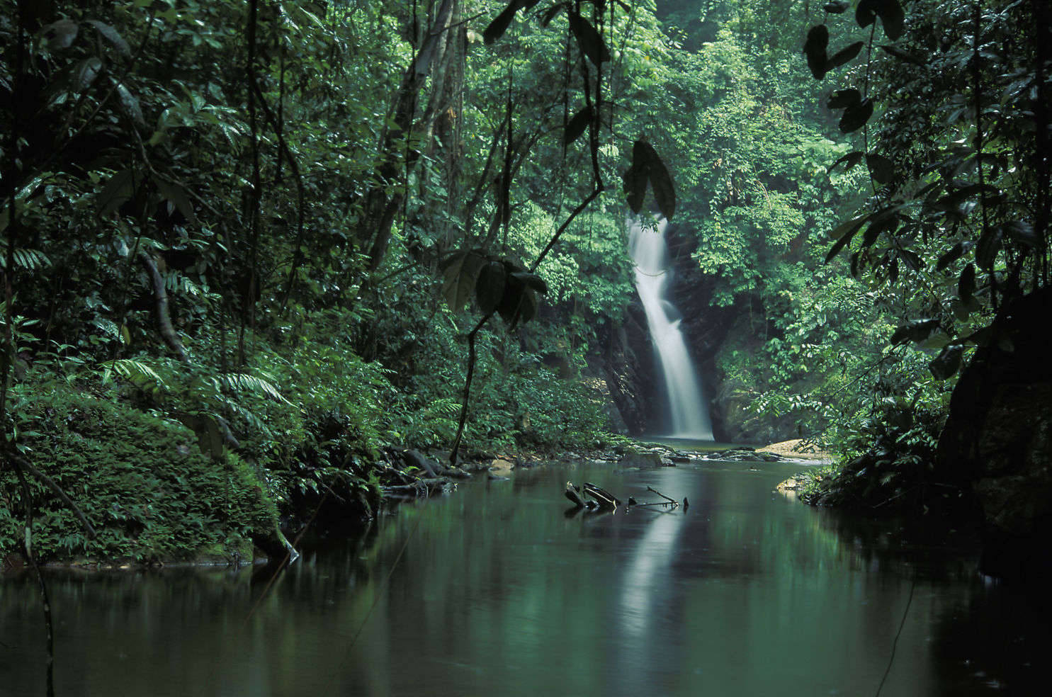 Paria waterfall, Trinidad, West Indies, Caribbean