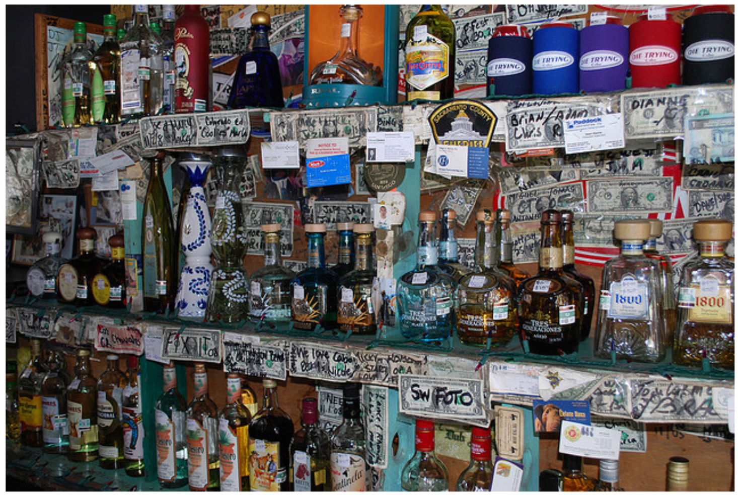 Slim's Elbow Room, Cabo San Lucas