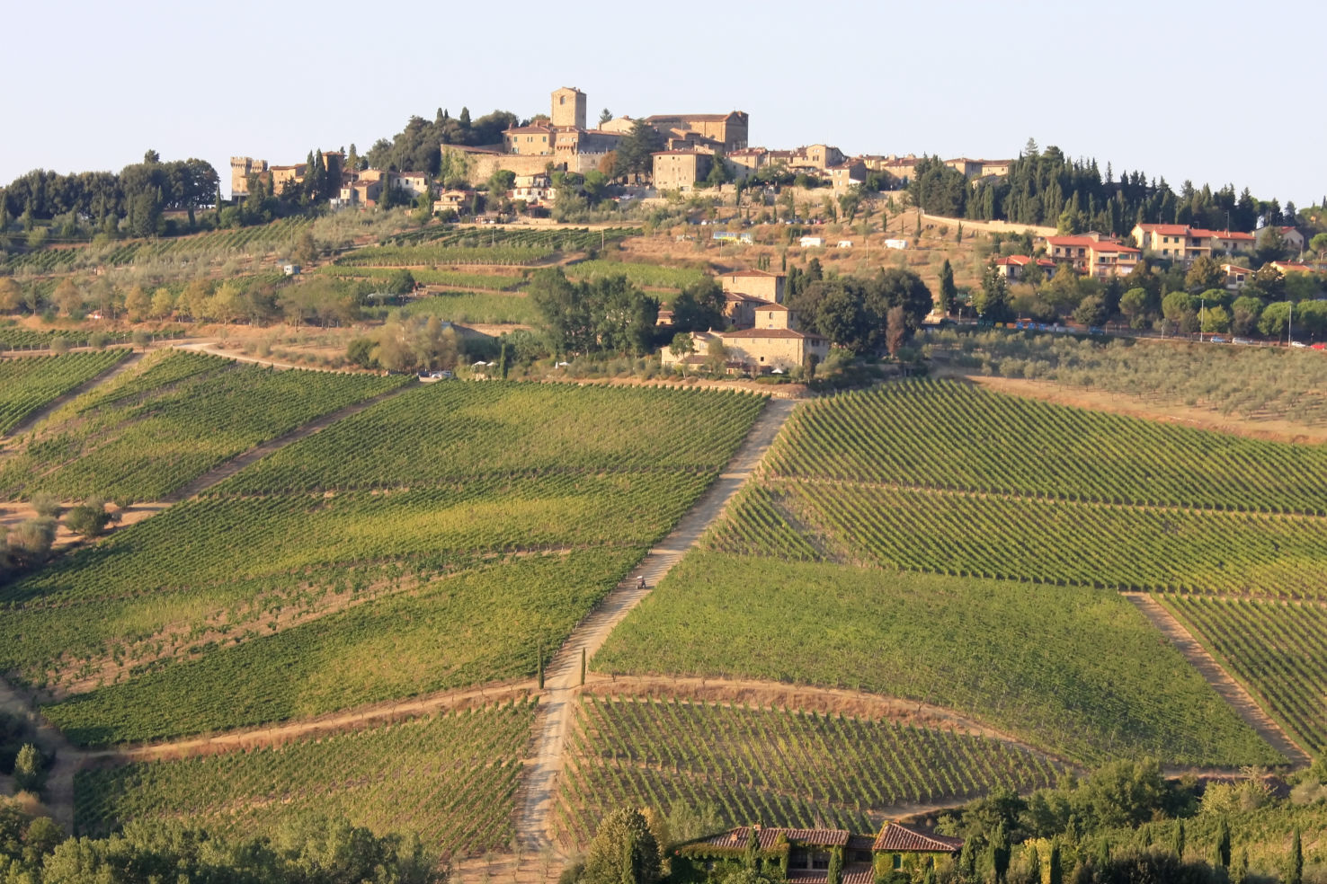 vineyards, Radda, Chianti, Tuscany, Italy