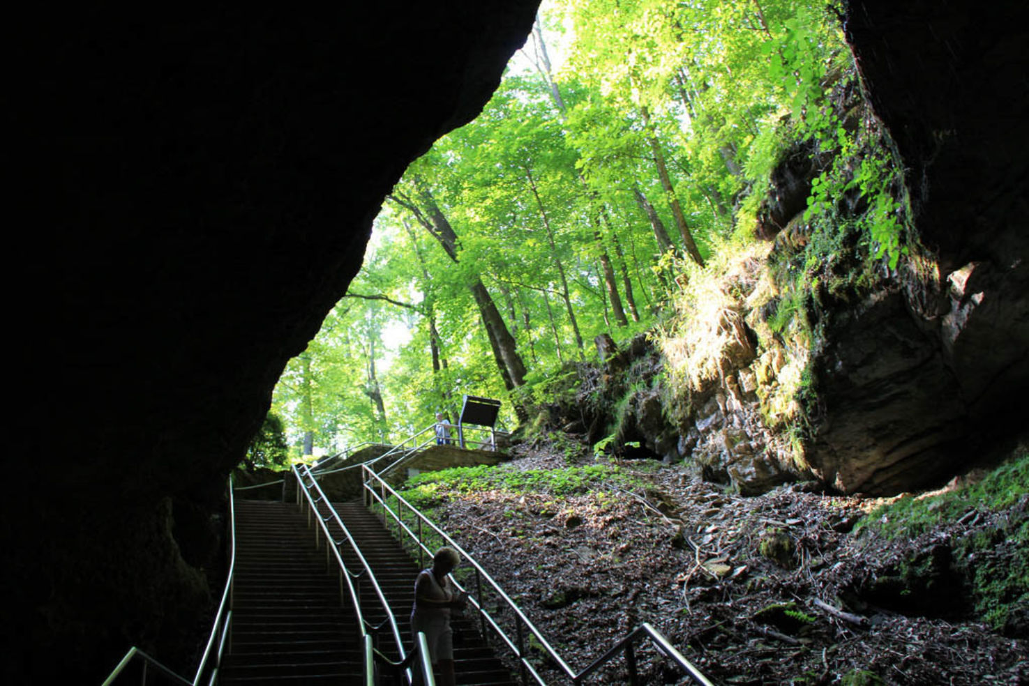 Mammoth Cave National Park
