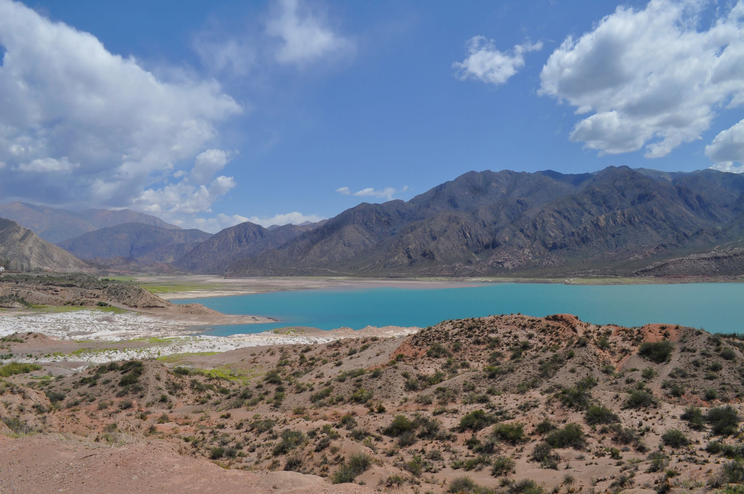 Potrerillos dam, Mendoza River, Province of Mendoza, Argentina
