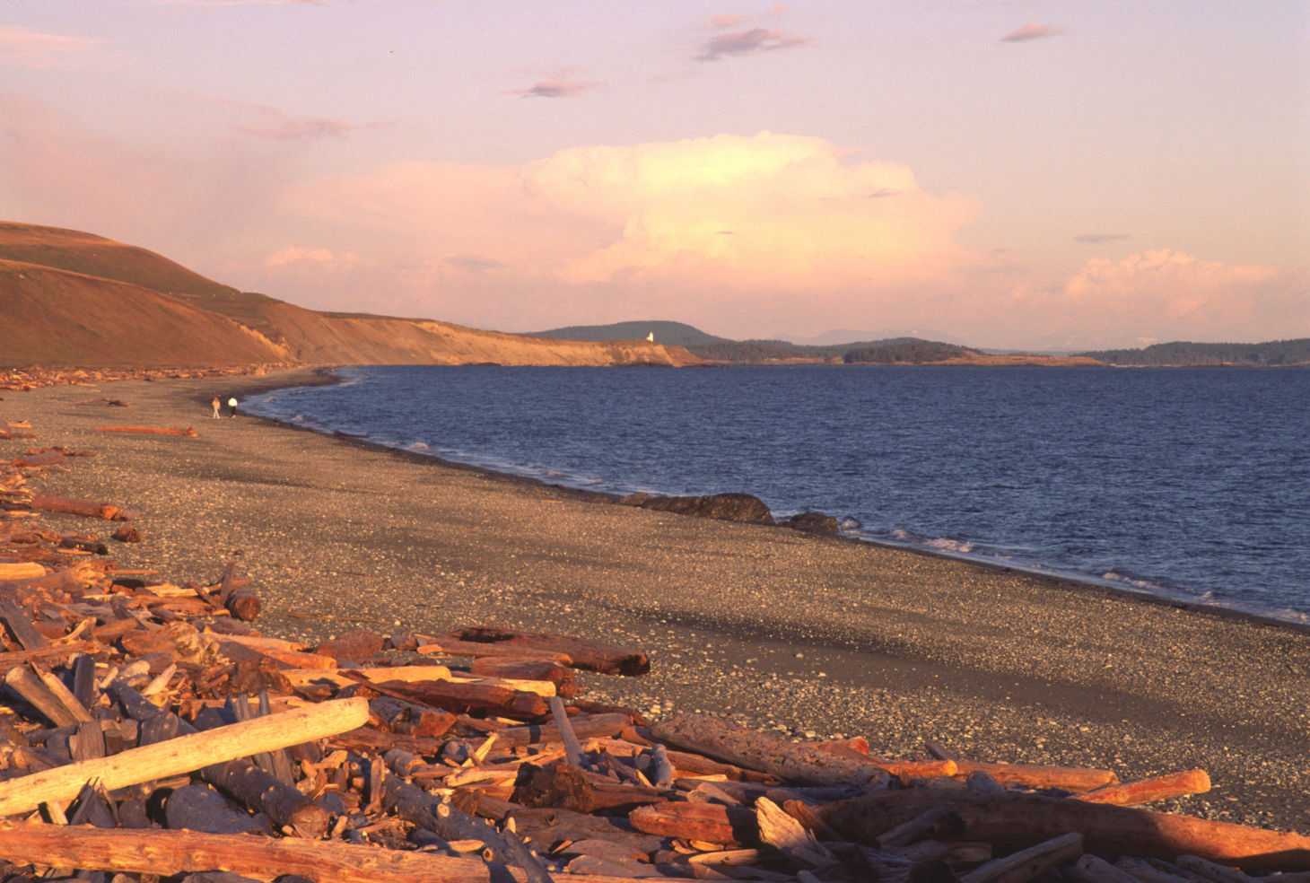 South Beach San Juan Island Washington