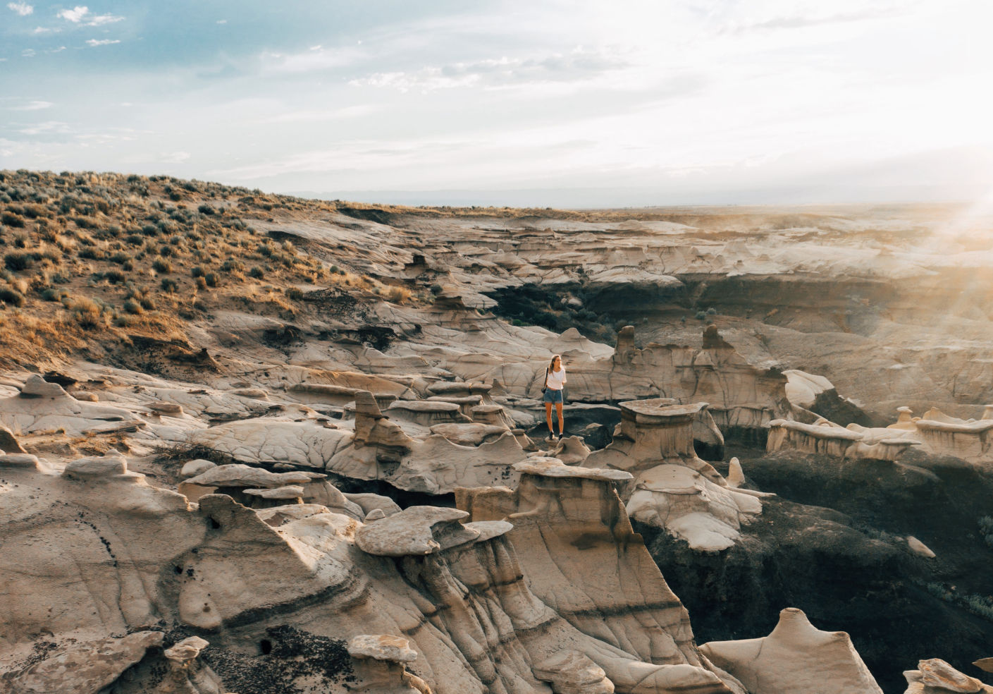 Bisti Badlands, New Mexico
