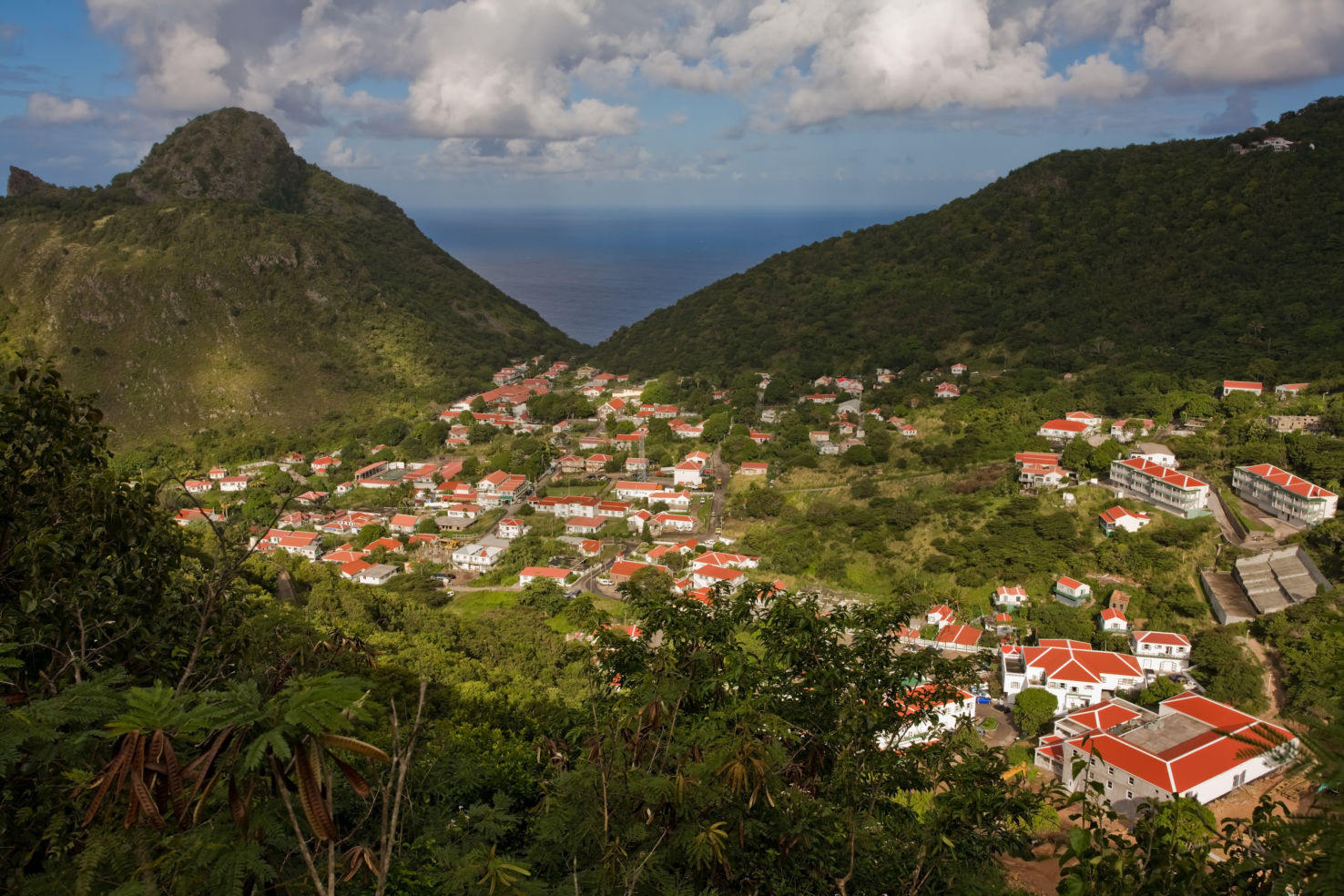Saba