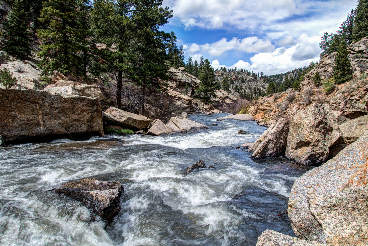 Eleven Mile Canyon, Pike National Forest, South Central Colorado