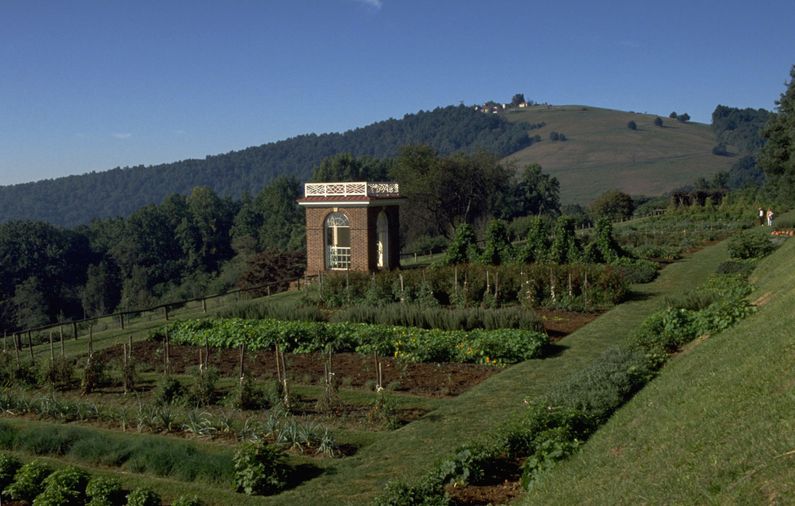 Monticello, Thomas Jefferson, Virginia