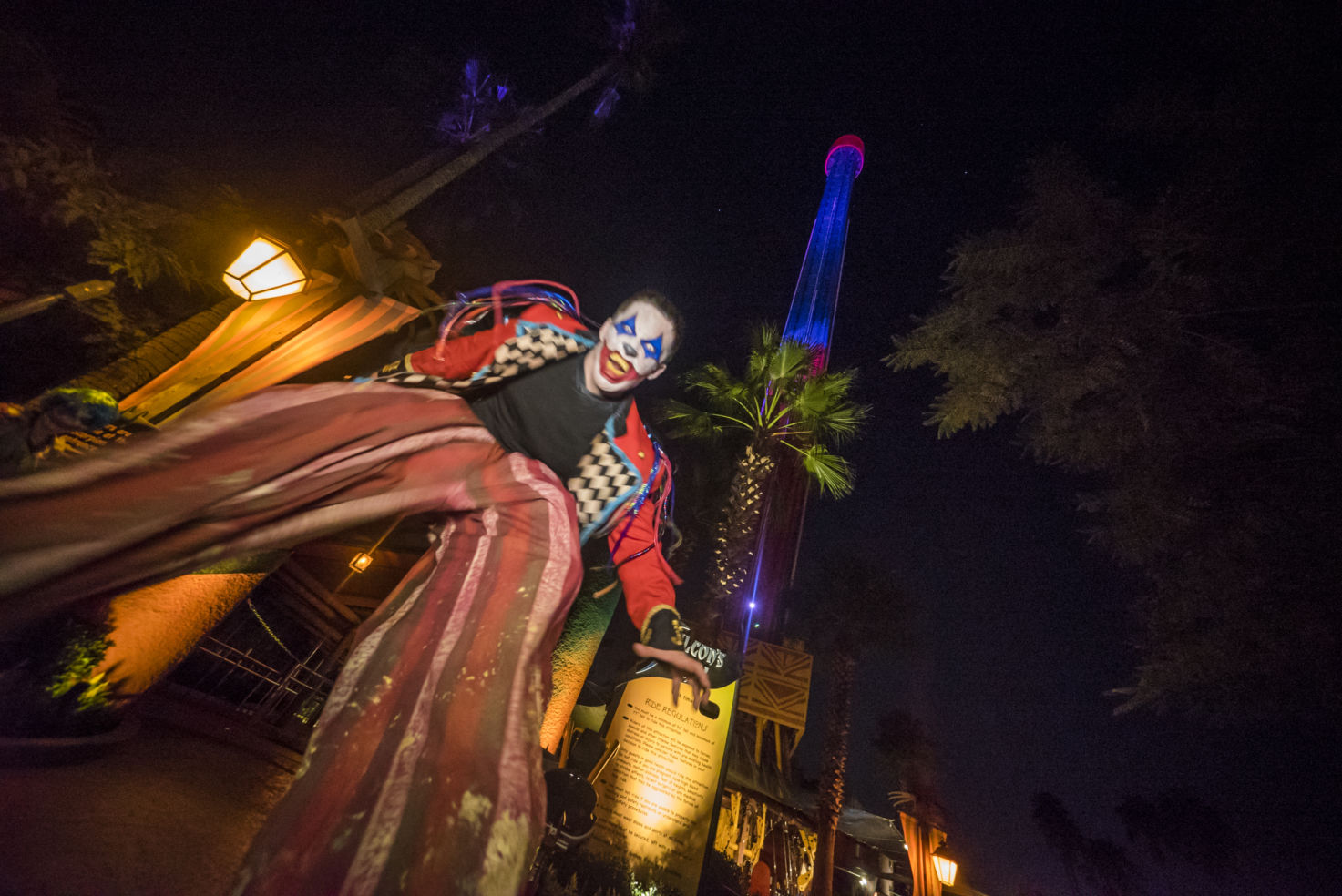 Falcon's Fury, Howl-O-Scream, Busch Gardens Tampa Bay, Florida, Halloween
