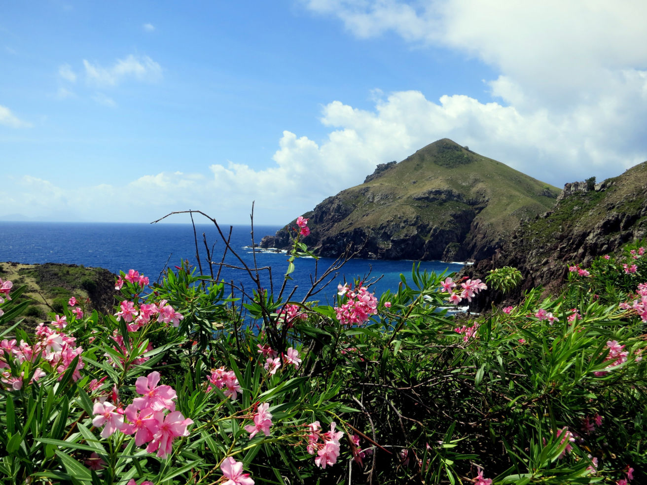 Saba