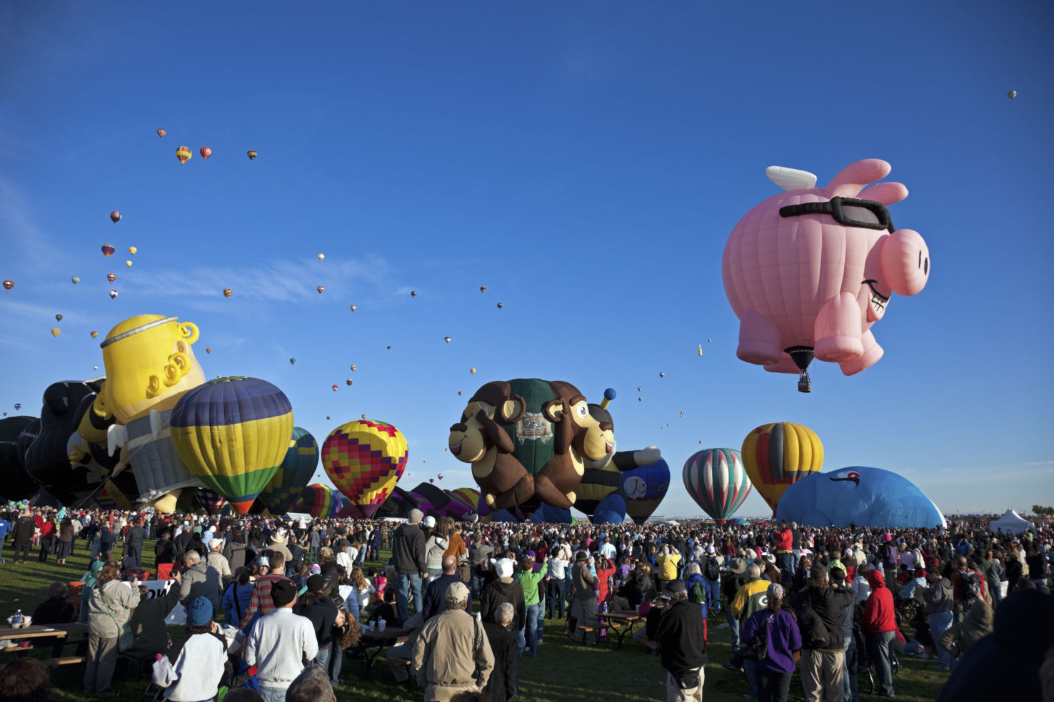 Hot Air Balloon Fiesta