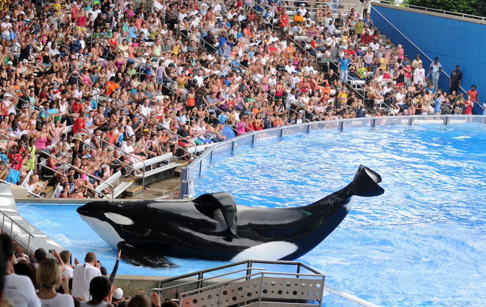 Sea World