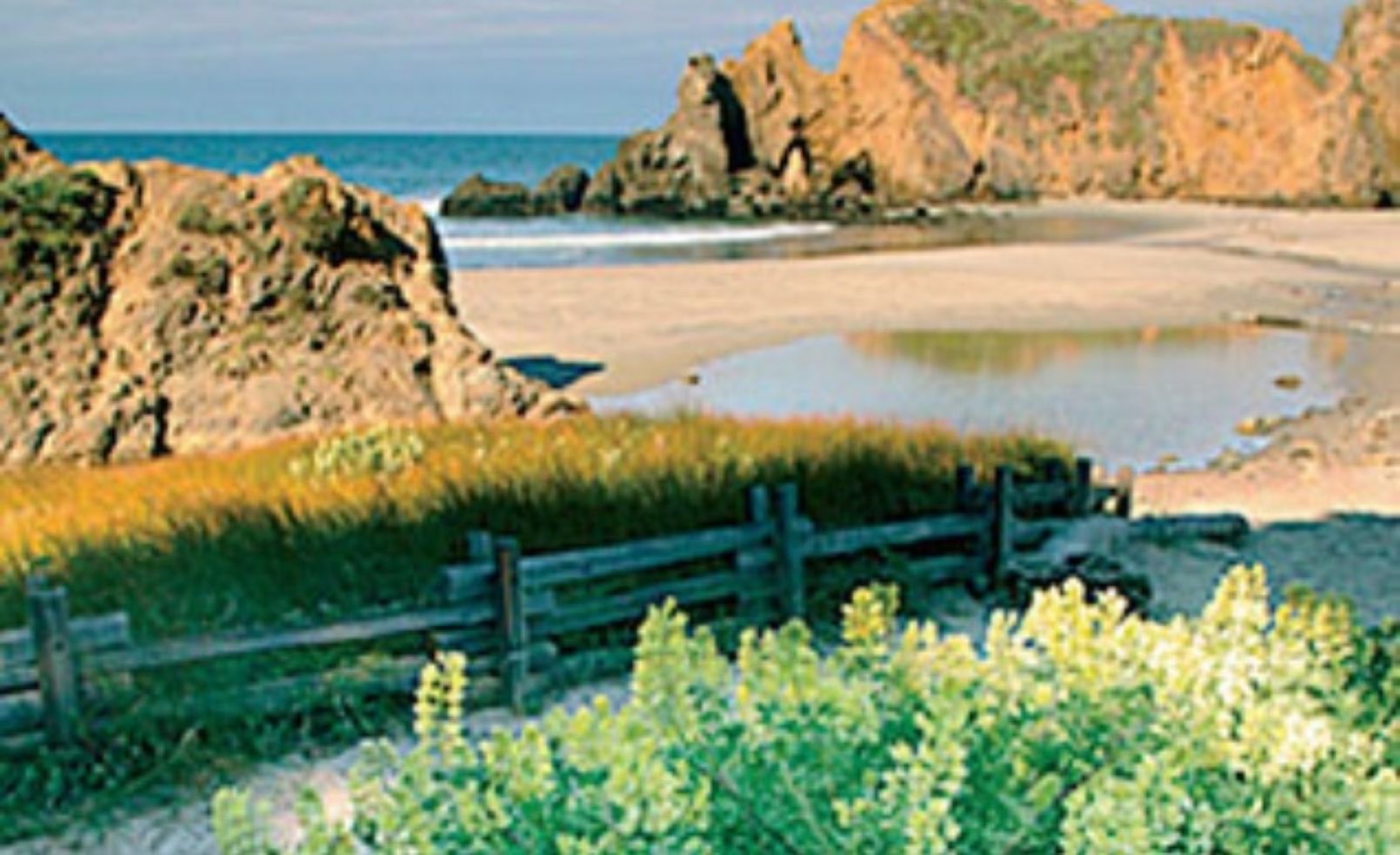 Pfeiffer Beach