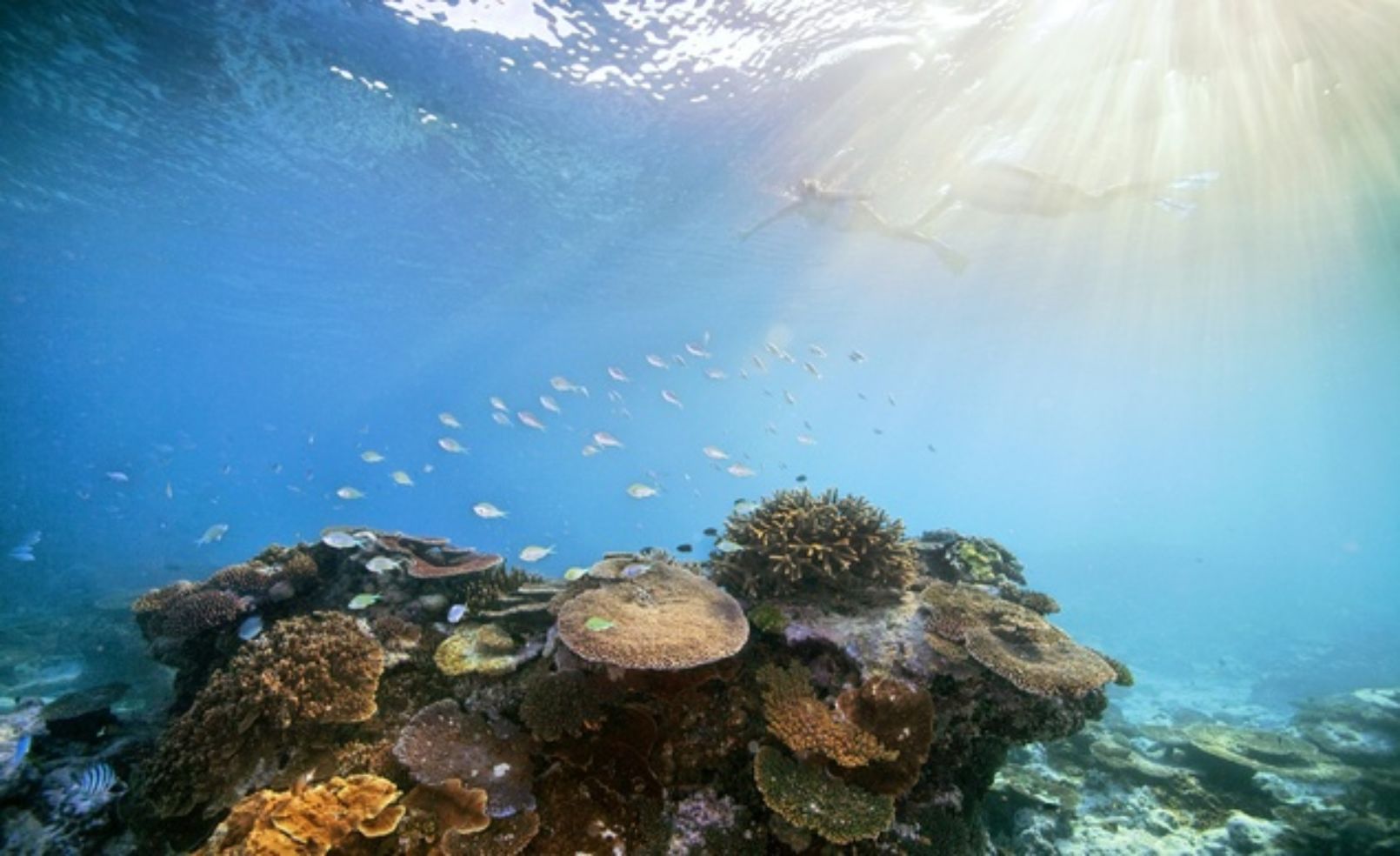 Australia