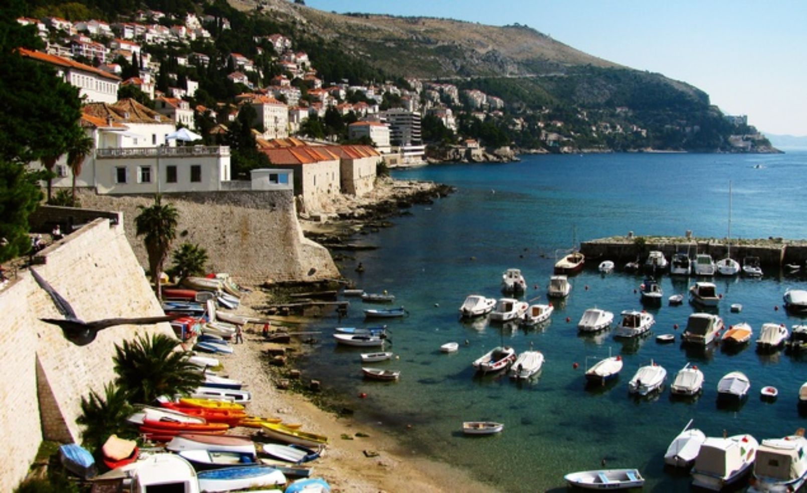 Dalmatian Coast