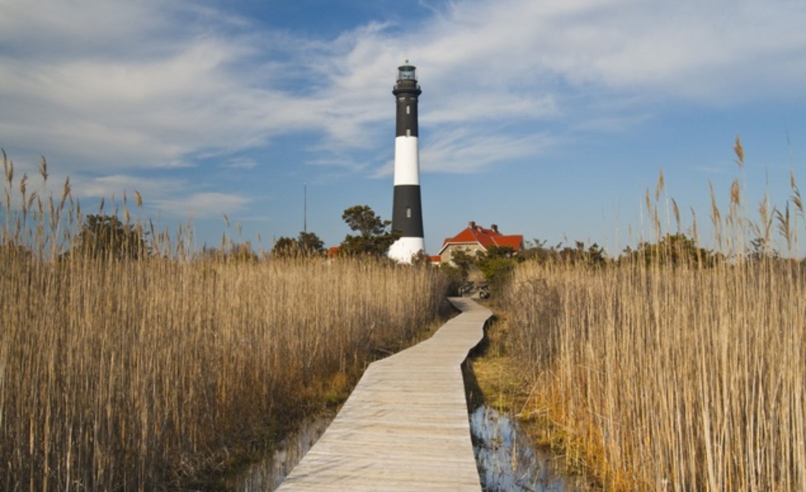 Fire Island