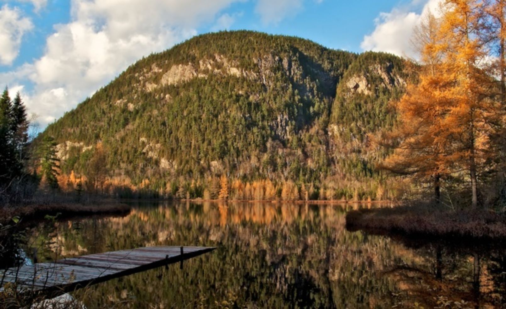 Minnesota