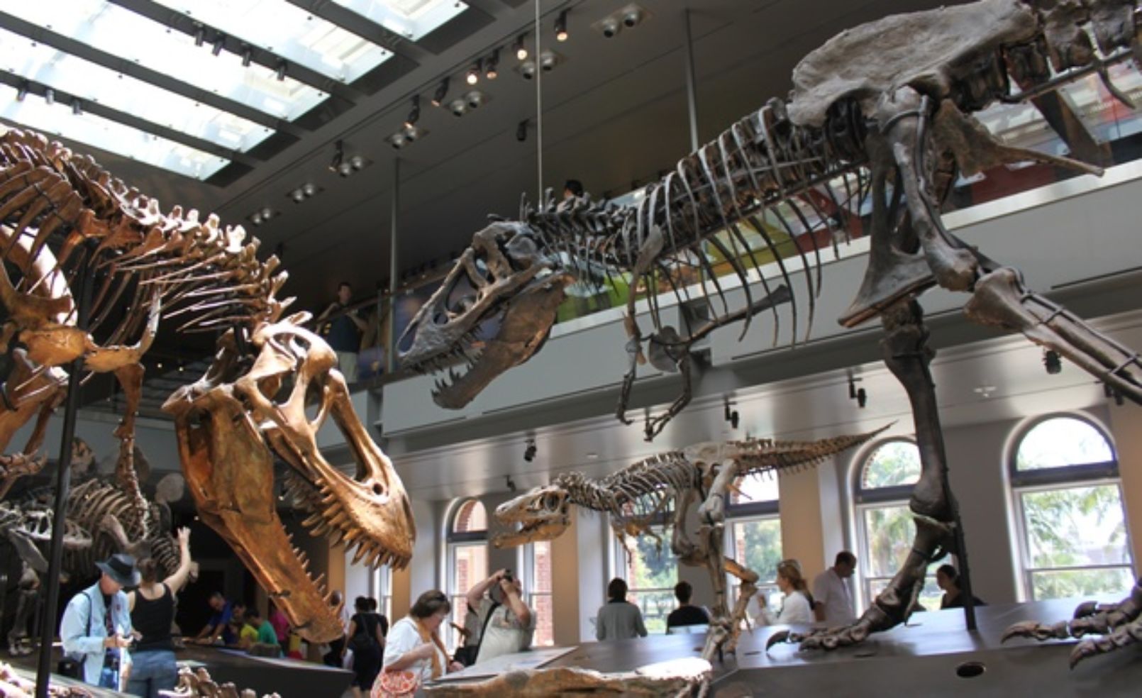 Natural History Museum of Los Angeles