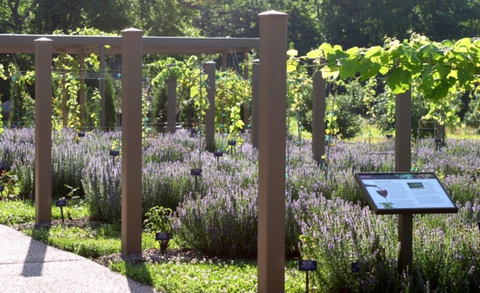 Heartland Harvest Garden