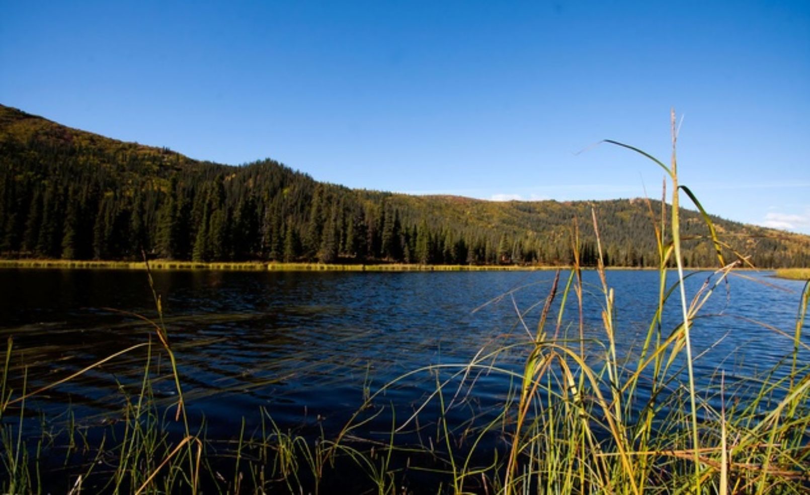 Triple Lakes Trail