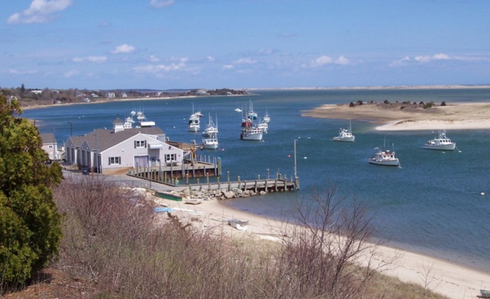 Cape Cod
