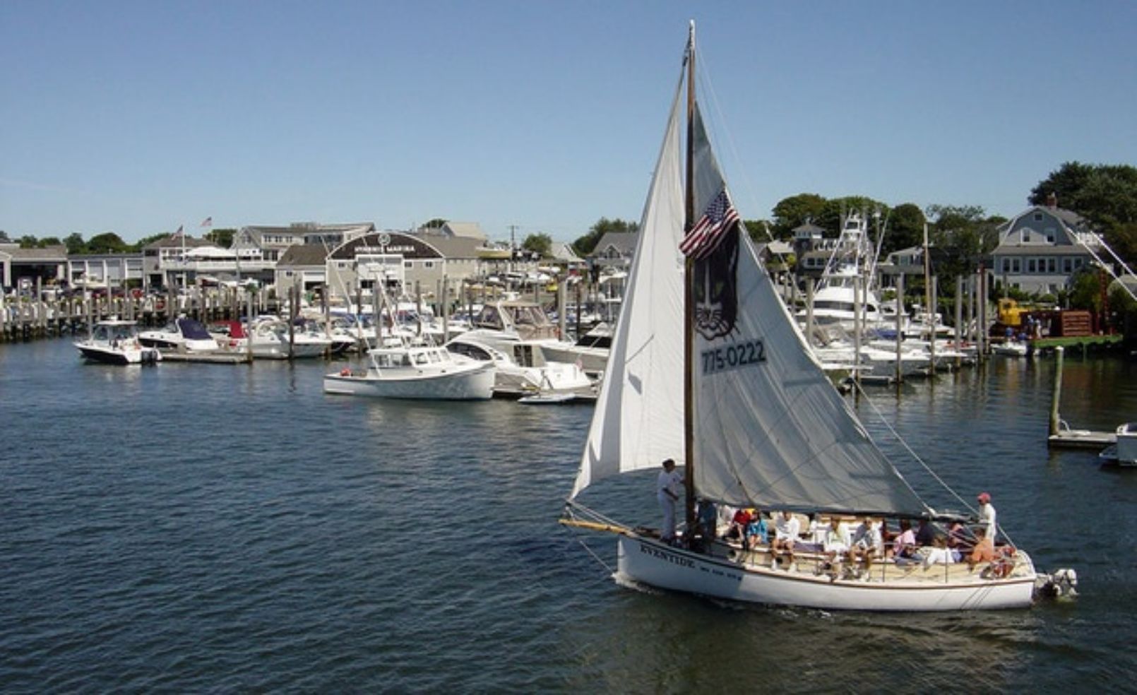 Cape Cod