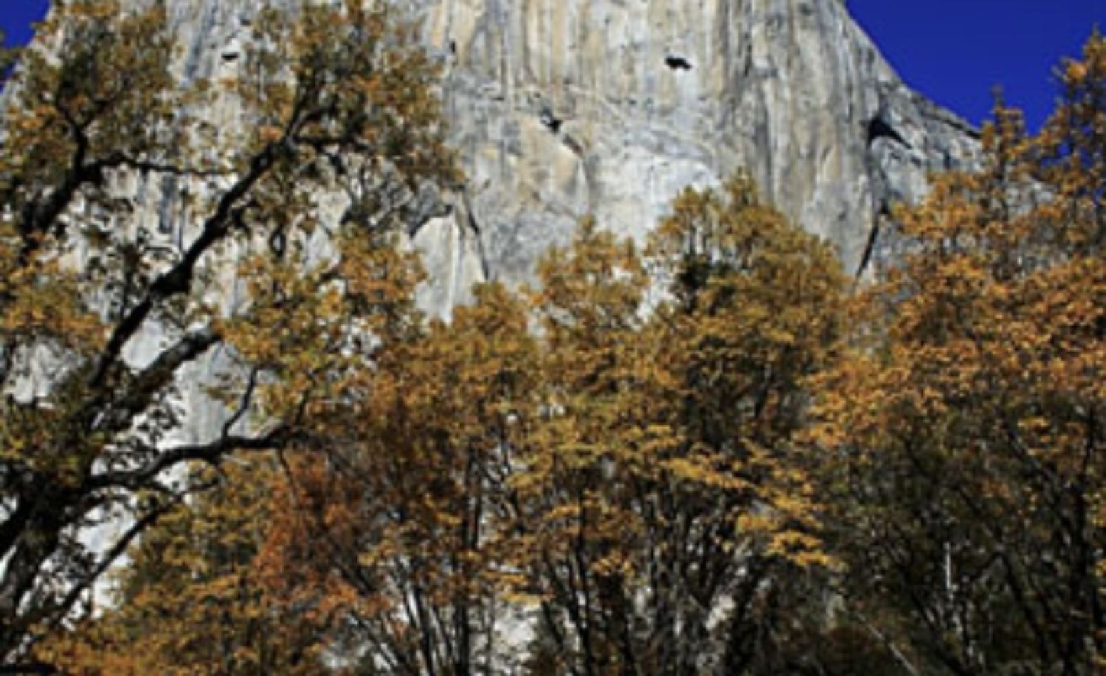 Yosemite National Park