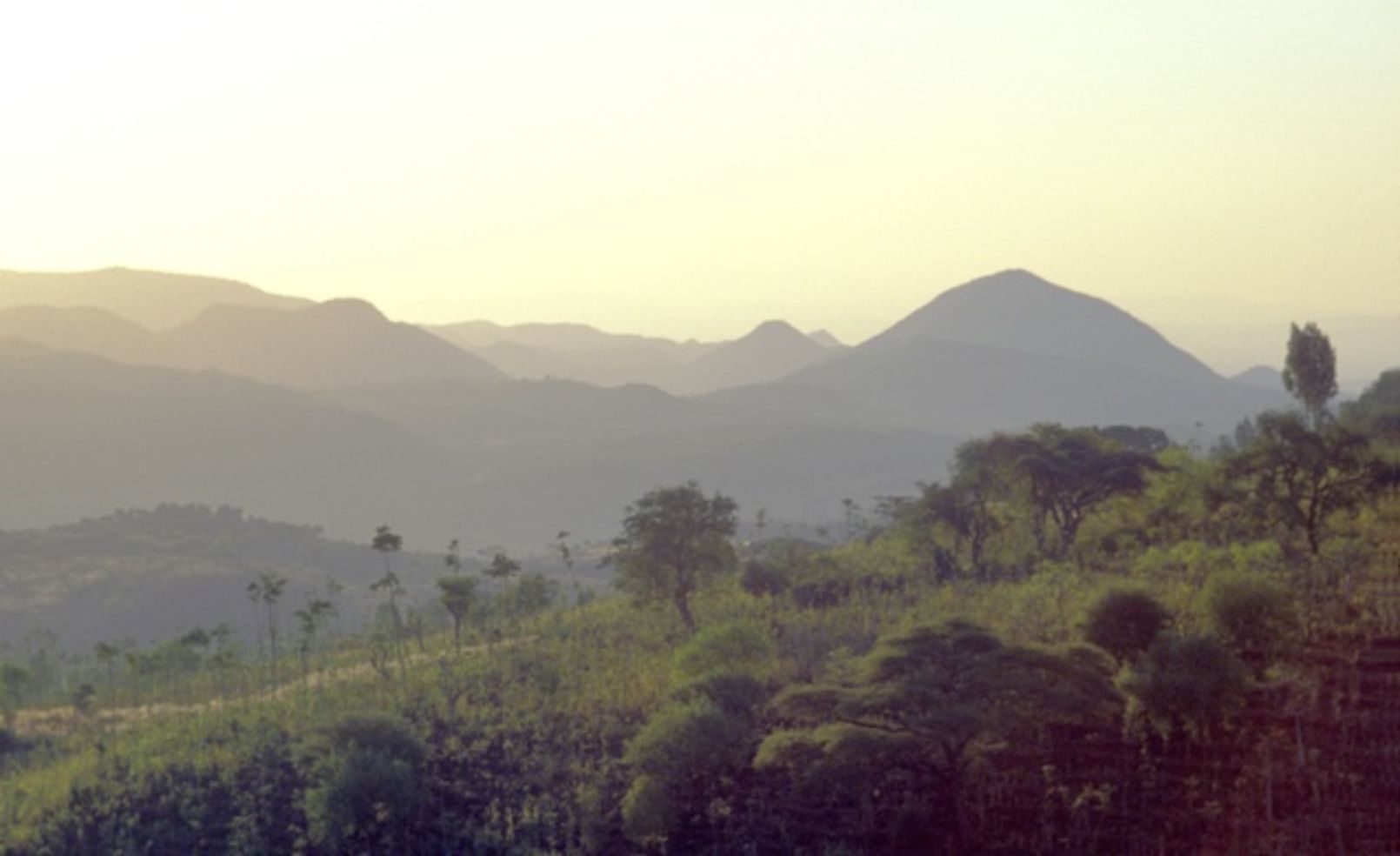 Konso Cultral Landscape