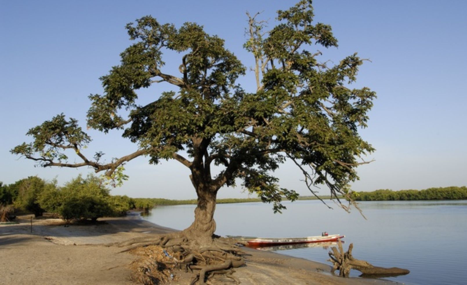 Saloum Delta