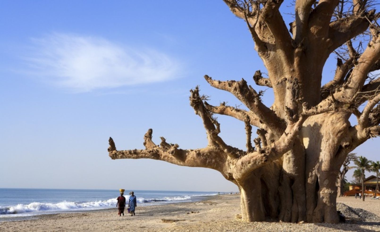 Saloum Delta