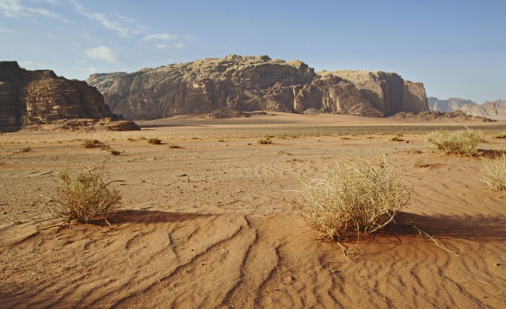 Wadi Rum Protected Area