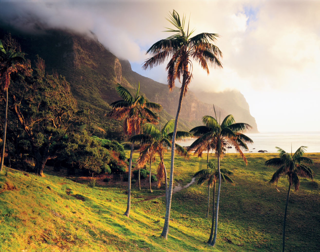 Lord Howe Islands