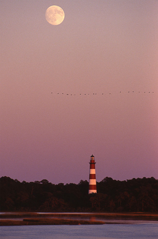 Assateague Island