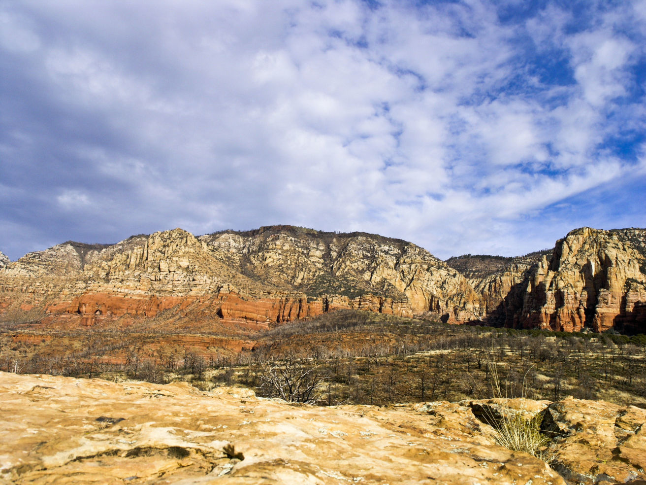 Arizona