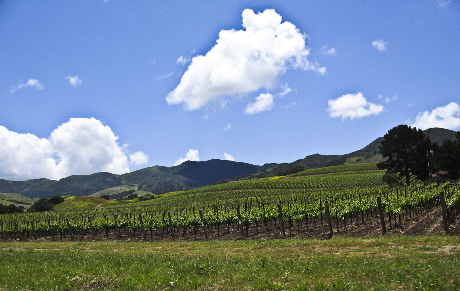 Santa Ynez Valley
